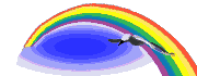 Seagull and Rainbow Pic